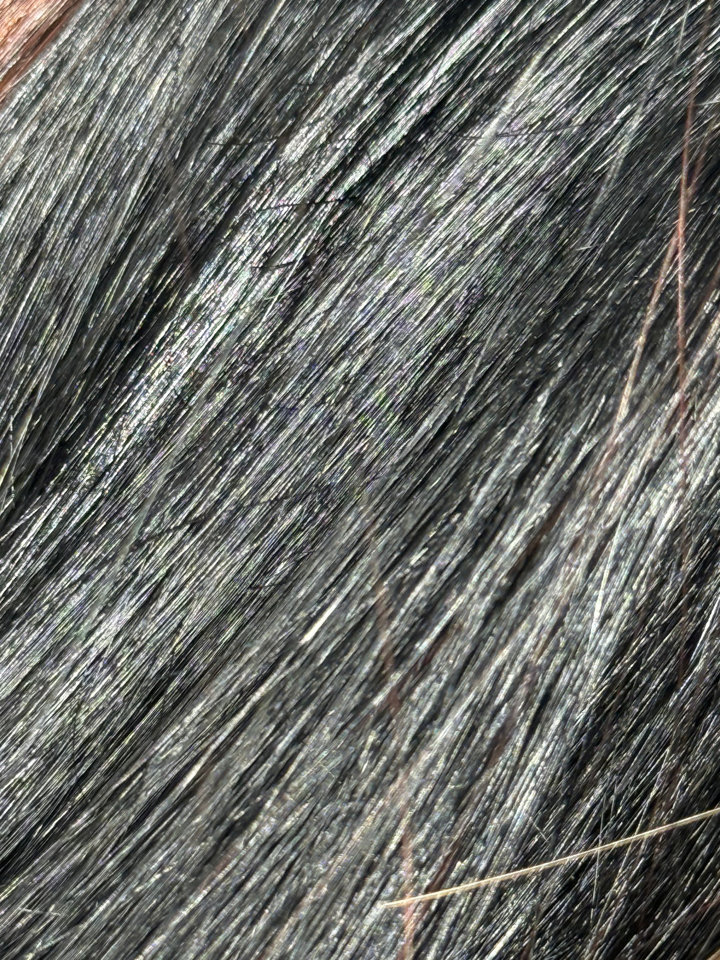 Noir de Noir - Signature Extensions Pack Of 3