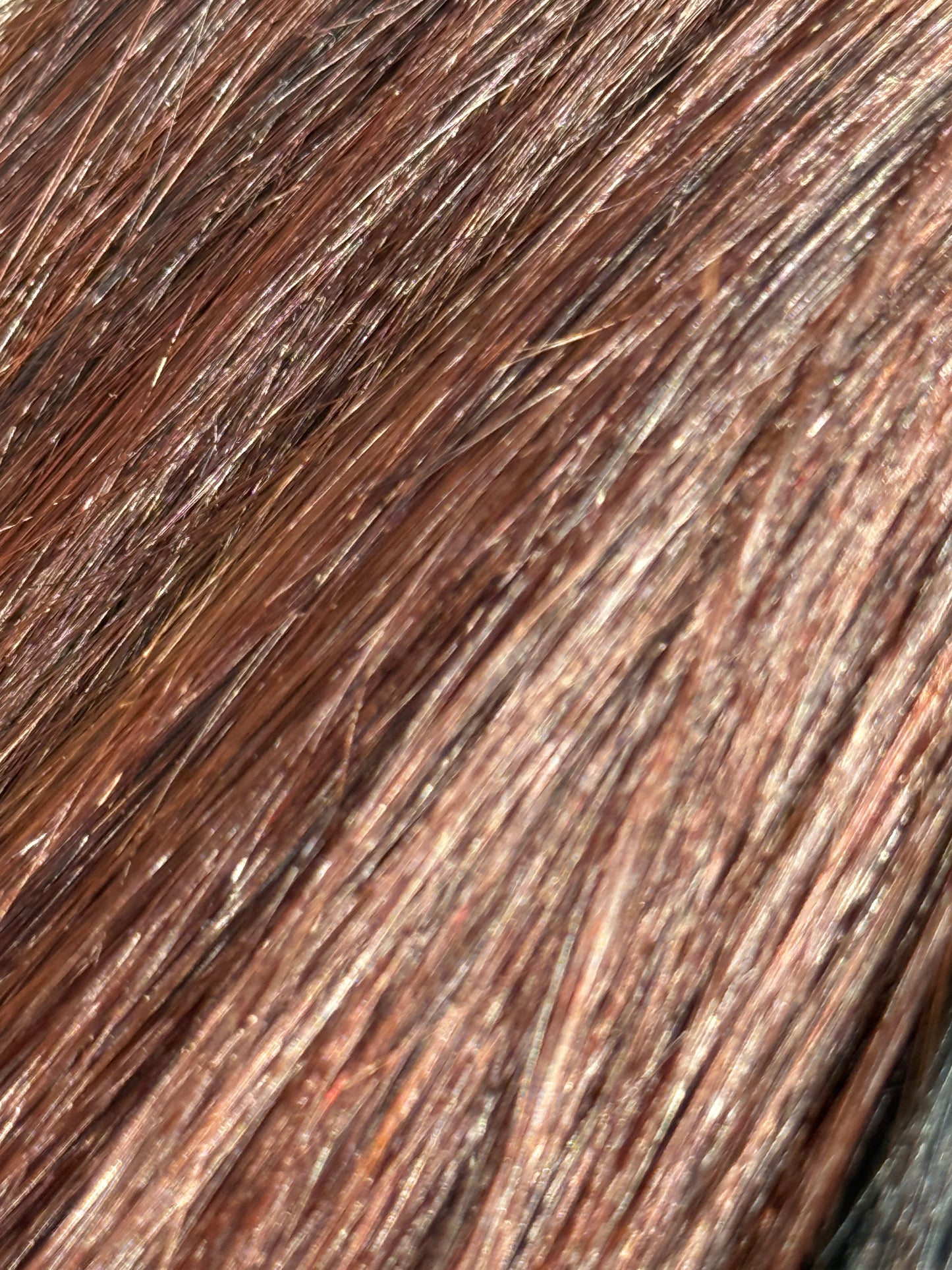 Capuchino Red - Signature Extensions Pack of 3